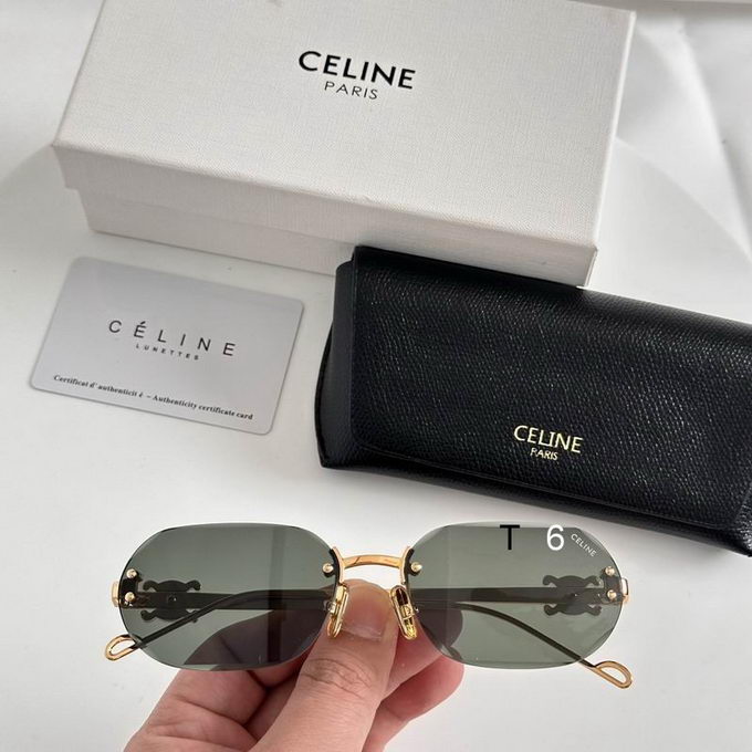 Celine Sunglasses ID:20240804-63